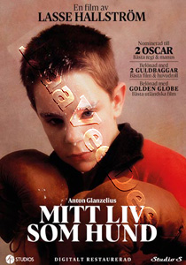 My Life As A Dog | Mitt liv som hund  |   DVD